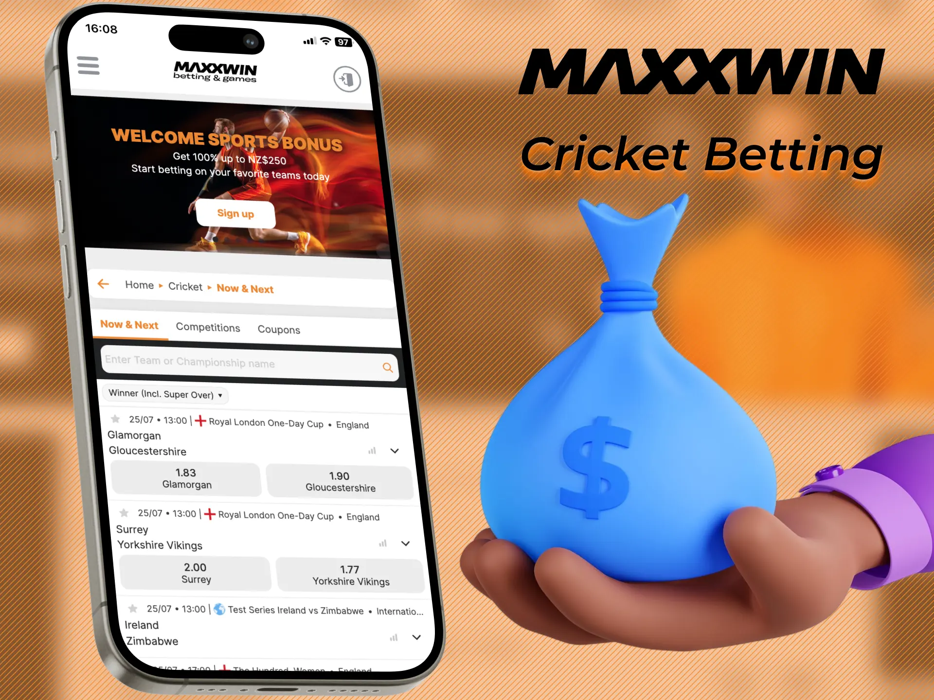 You can bet on cricket in the web version of Maxxwin.